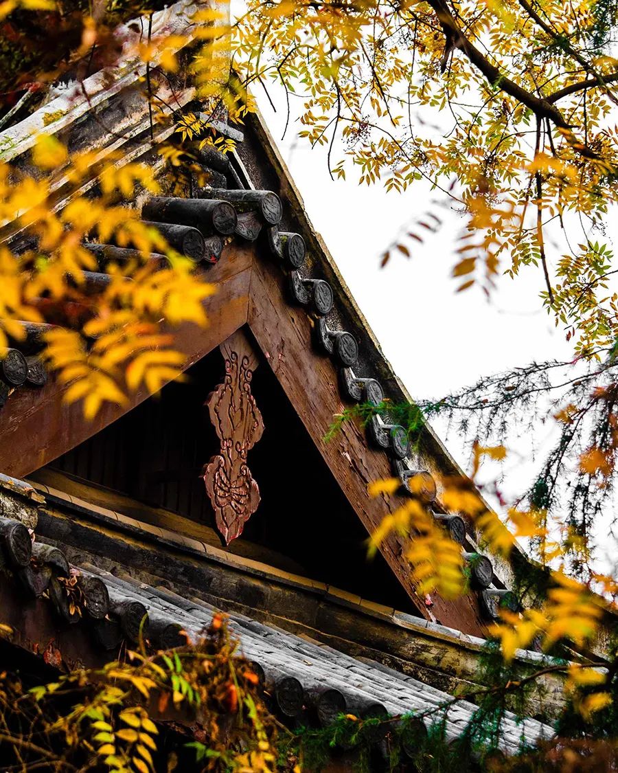 这30张照片，就是秋天一定要去旅行的全部理由！