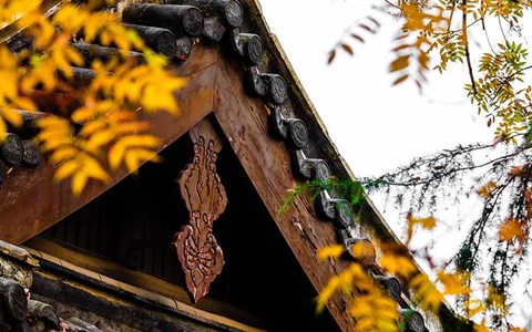 这30张照片,就是秋天一定要去旅行的全部理由!