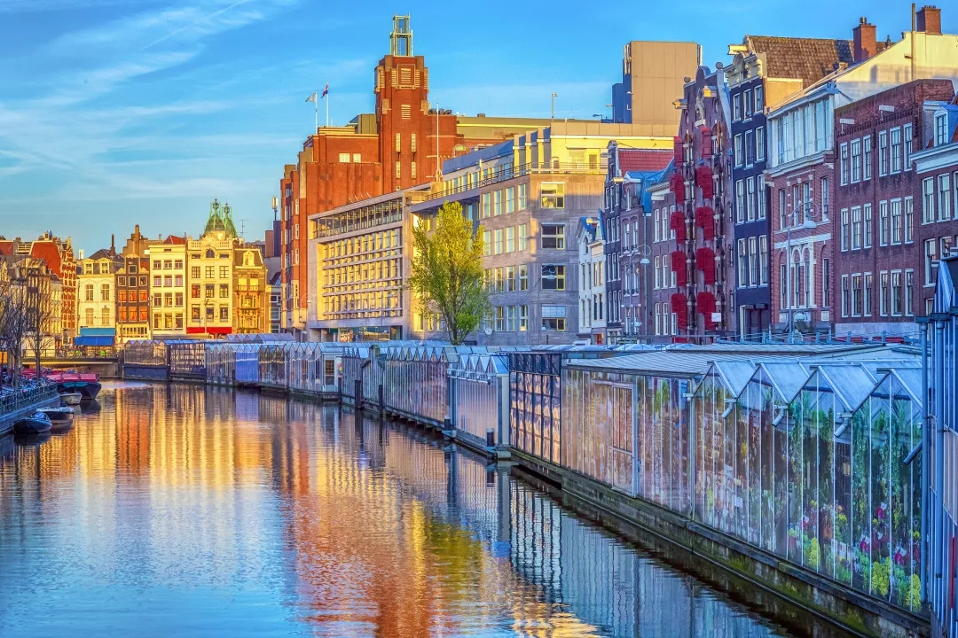 “欢迎来到荷兰”