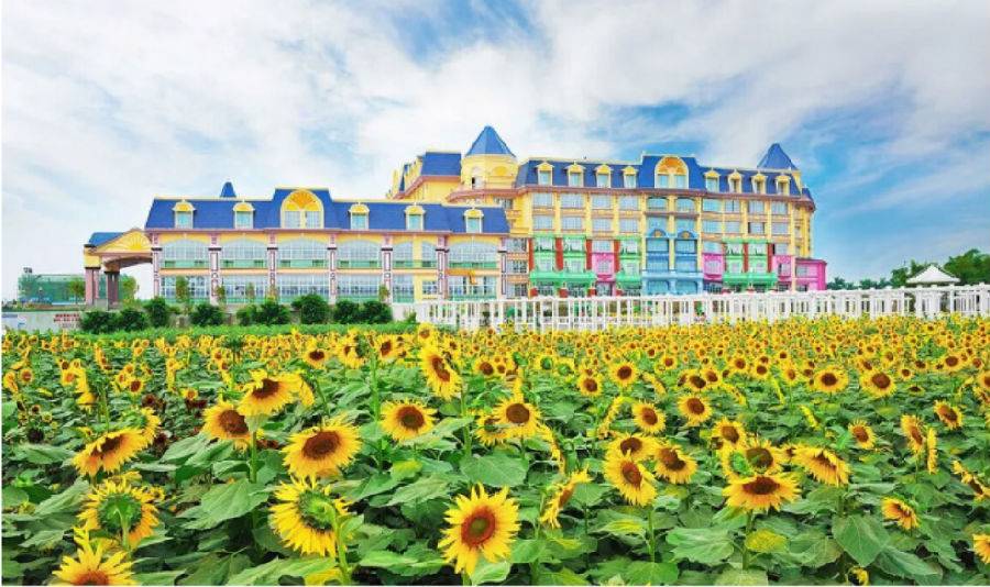 【人气水城回归】百万葵园89元两大两小！暑期畅玩水项目，溜娃避暑降温好去处！