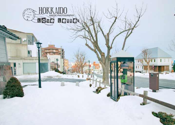 玩遍日本丨冬天已经来了，北海道也在等你来