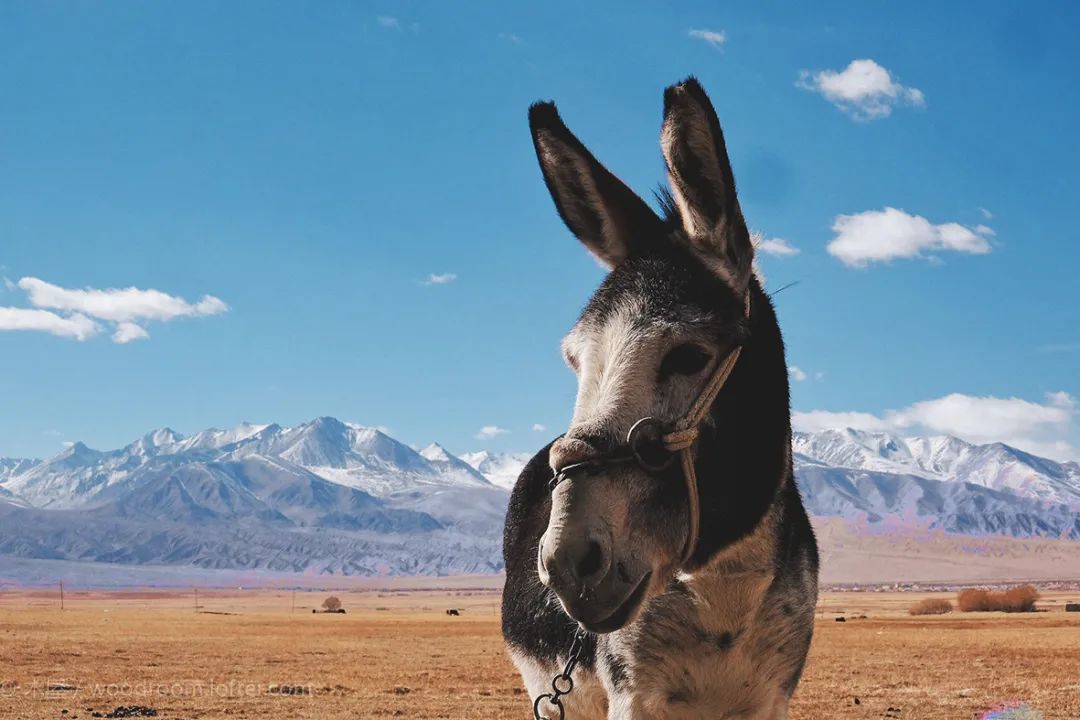 南疆丨人间理想，天堂不过如此