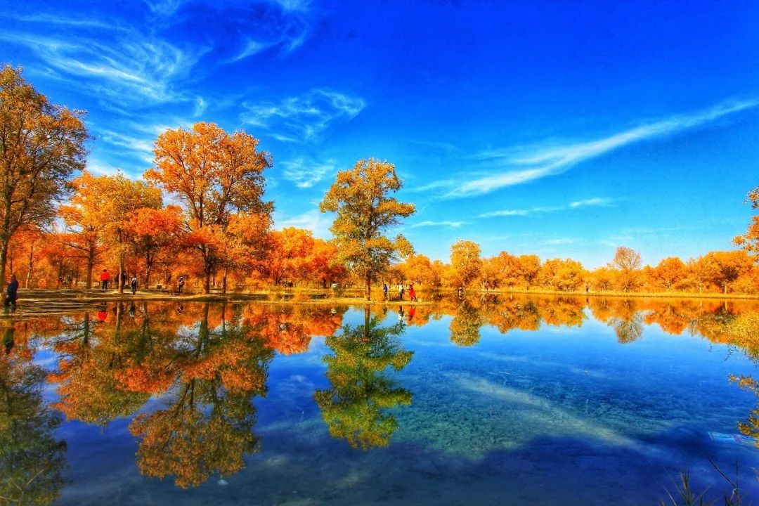 有一种心动，叫额济纳的秋天