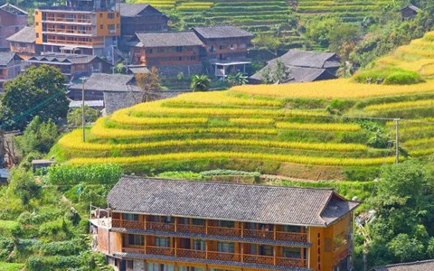 是时候去一趟广西了!