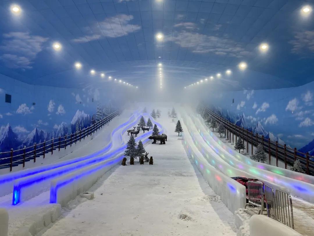 听说北方都下雪了？深圳也是！