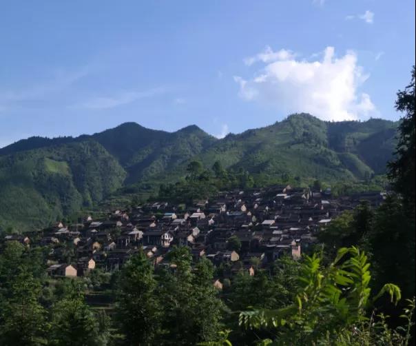 广东充满“韵味”的古村落，风景堪称世外桃源，至今依旧不收门票